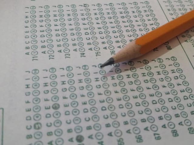 SEGEM sertifikaları e-Devlet'te: barkodlu belge ve işveren doğrulaması